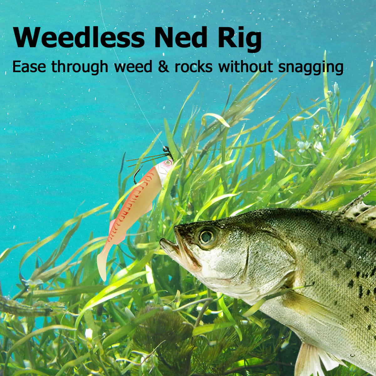 Dr.Fish 10pcs Ned Rig Jig Heads Weedless 1/4oz-3/16oz