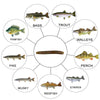 Dr.Fish 15pcs Ice Fishing Soft Worms 1.96''