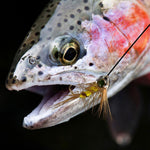 Dr.Fish 10pcs Clear Fly Tying Eyes