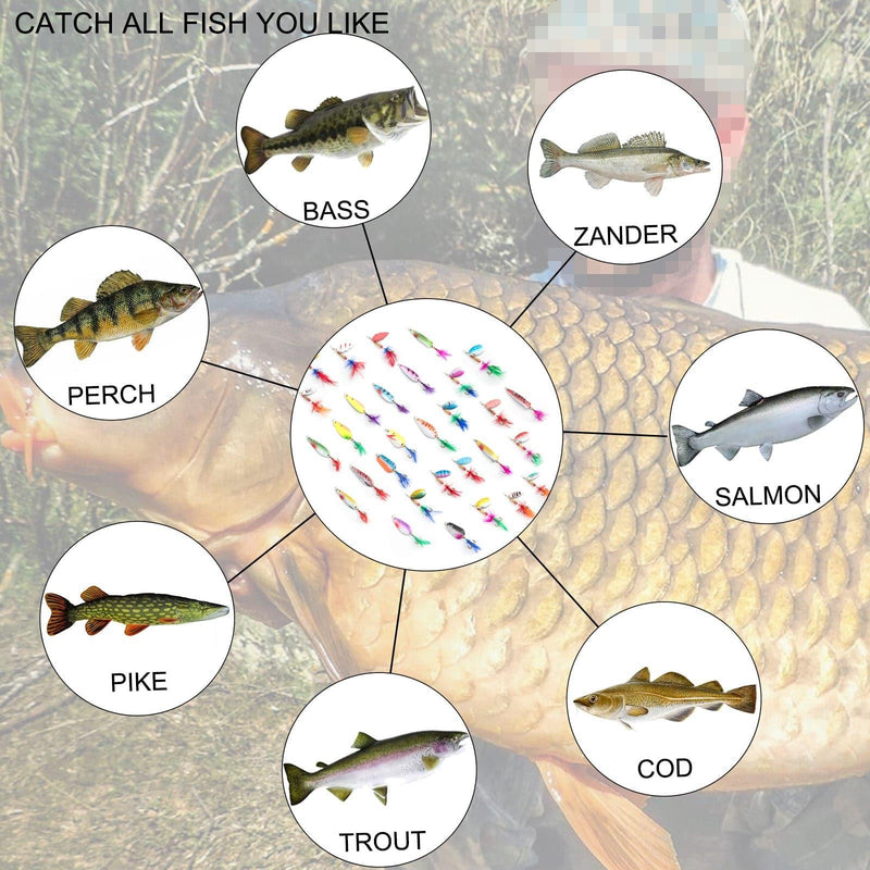 Dr.Fish Spinners and Spoons Kit Rooster Tail