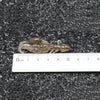 Dr.Fish 15pcs Soft Plastic Craws 1.97''